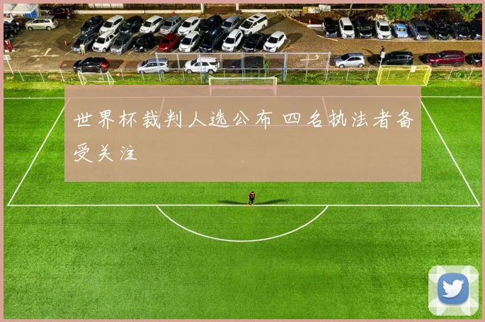世界杯裁判人选公布 四名执法者备受关注