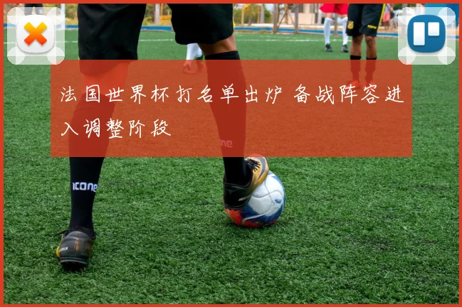 法国世界杯打名单出炉 备战阵容进入调整阶段