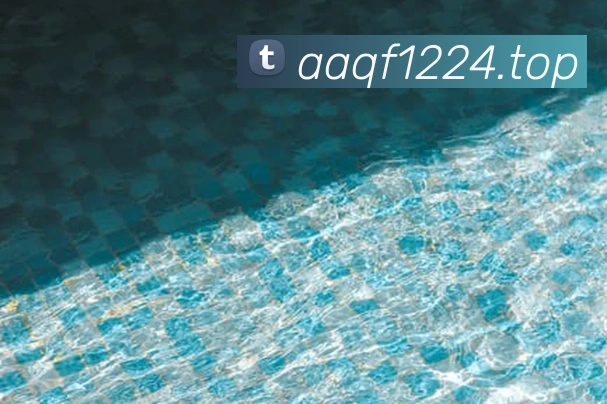 篮球下注平台生态图